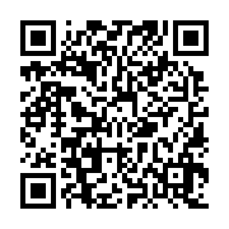 QR code for PHO336