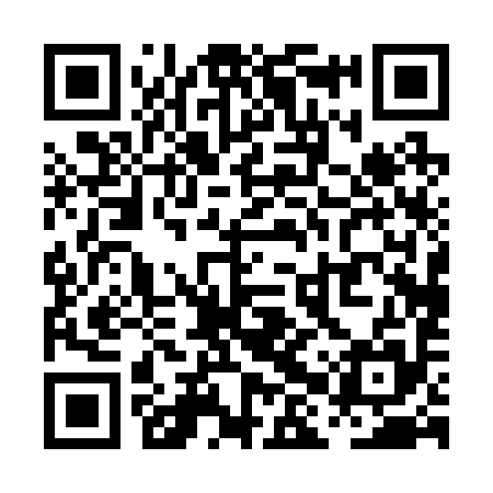 QR code for PHP295