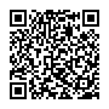 QR code for PHV011