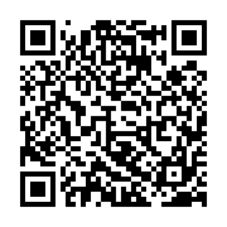 QR code for PHV517