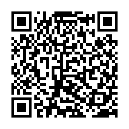 QR code for PHY208