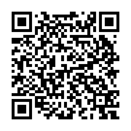 QR code for PHY233