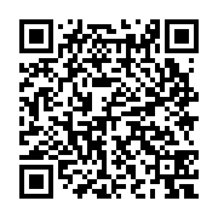 QR code for PHY338