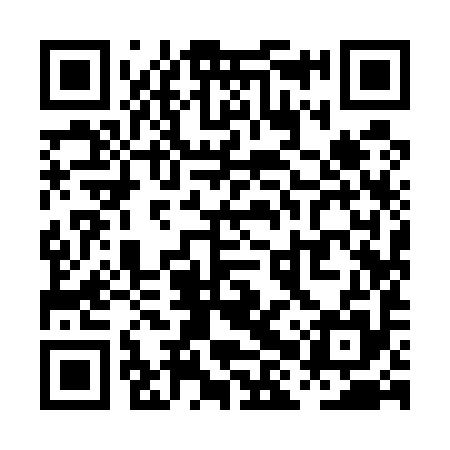 QR code for PHY595