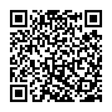 QR code for PHY689