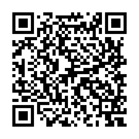 QR code for PHZ993