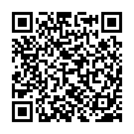 QR code for PIA311