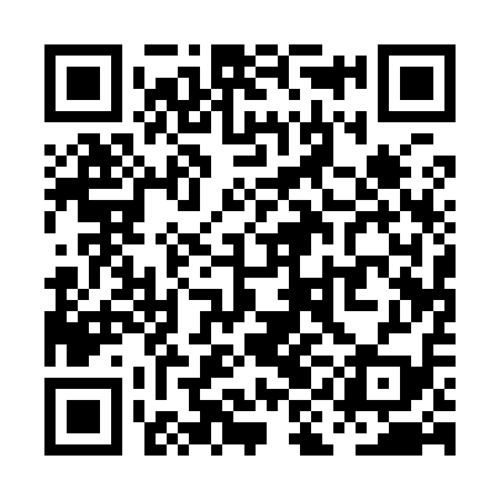QR code for PIA919