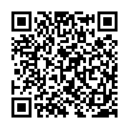QR code for PIB533