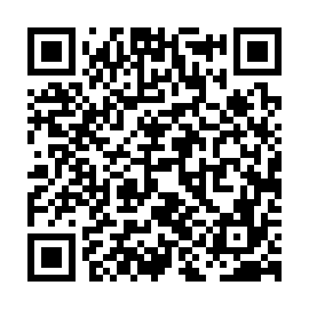 QR code for PID376