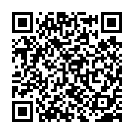 QR code for PIE618