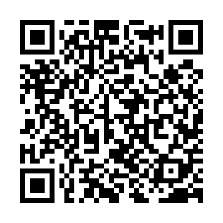 QR code for PIF509