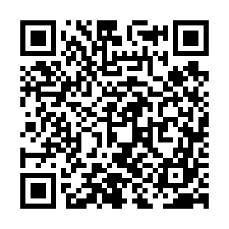 QR code for PIF667
