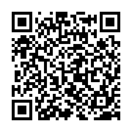 QR code for PIG314