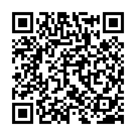 QR code for PII038