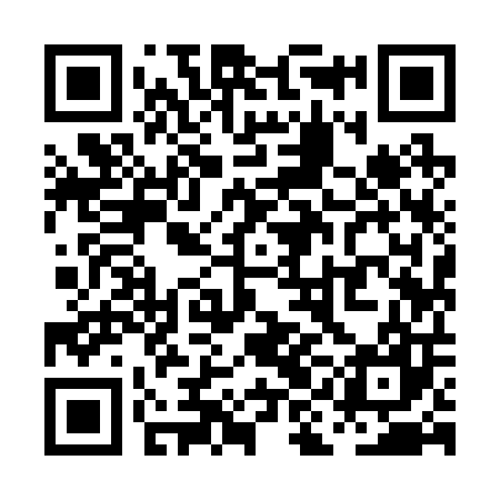 QR code for PII207