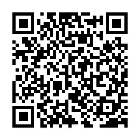 QR code for PII258