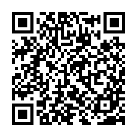 QR code for PII287