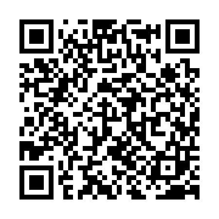 QR code for PII303