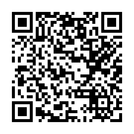QR code for PII385