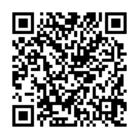 QR code for PII387