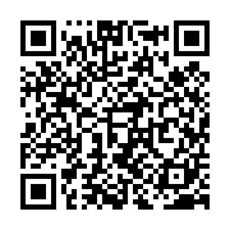 QR code for PII401