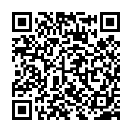 QR code for PII410