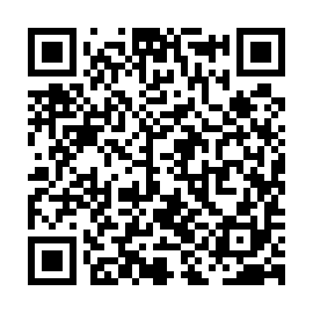 QR code for PII590