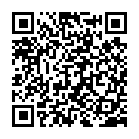 QR code for PII659