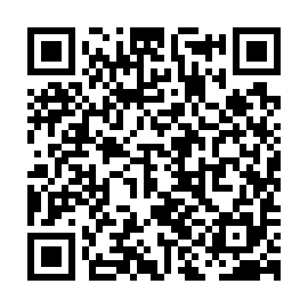 QR code for PII795