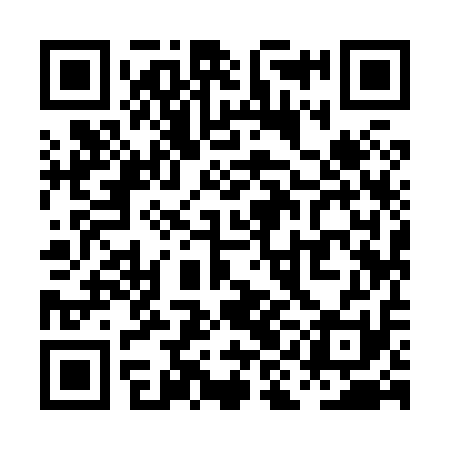 QR code for PII811