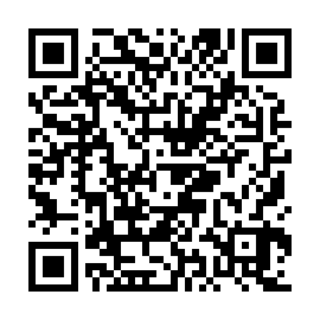 QR code for PII822