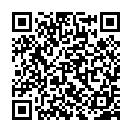 QR code for PIN095