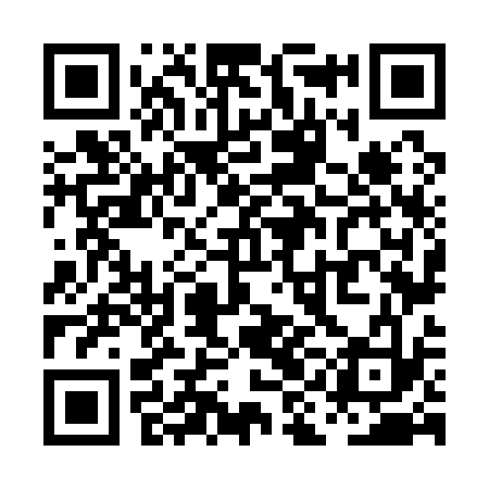 QR code for PIN133