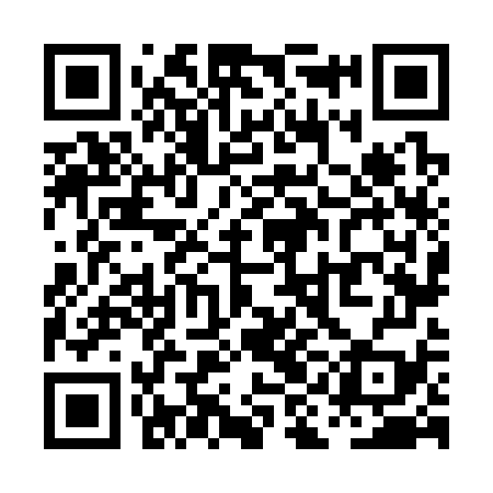 QR code for PIN379