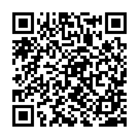 QR code for PIN387