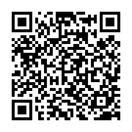 QR code for PIN485