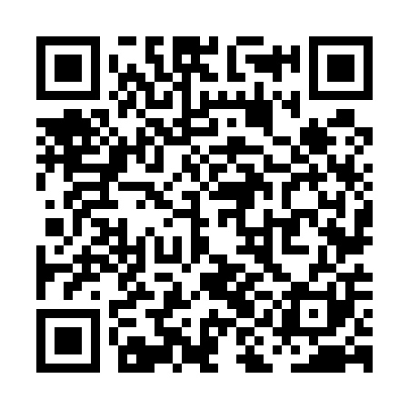 QR code for PIN501