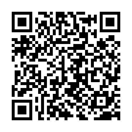 QR code for PIN535