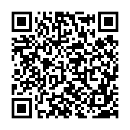 QR code for PIN676