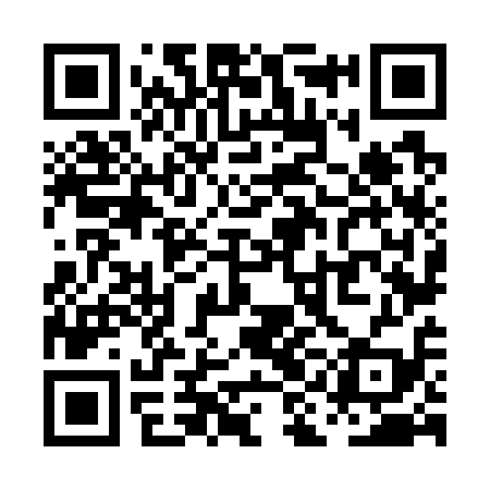 QR code for PIN719