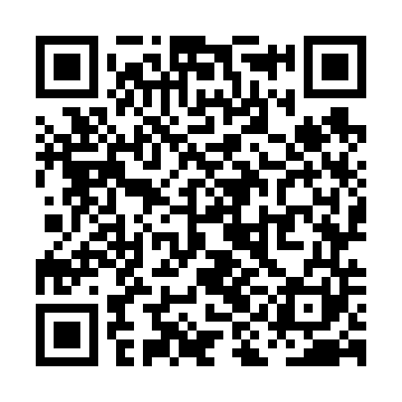 QR code for PIO641