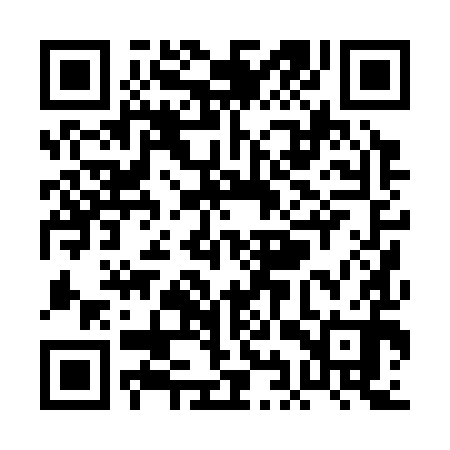 QR code for PIP390