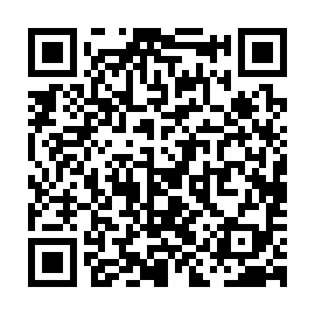 QR code for PIP399