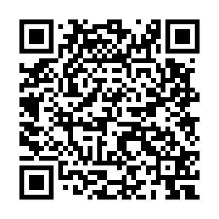 QR code for PIP521