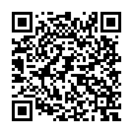 QR code for PIP566