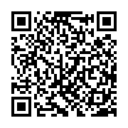 QR code for PIP571