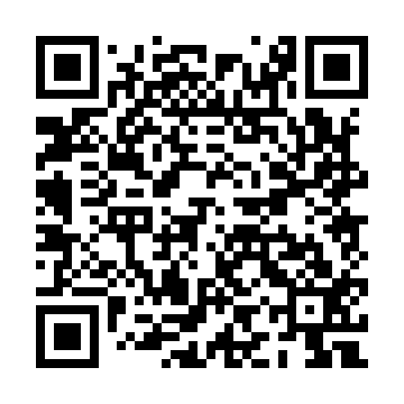 QR code for PIP913