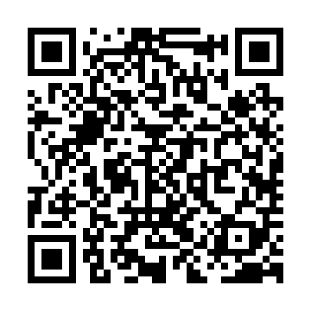 QR code for PIR209