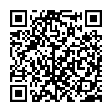QR code for PIR218